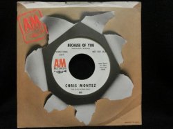 画像1: 40年代ジャズ名曲カバー★CHRIS MONTEZ-『BECAUSE OF YOU』