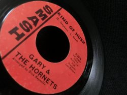 画像2: HERMAN'S HERMITS名曲/キッズカバー★GARY & THE HORNETS-『KIND OF HUSH』