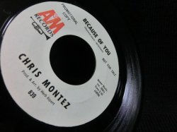 画像2: 40年代ジャズ名曲カバー★CHRIS MONTEZ-『BECAUSE OF YOU』
