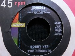 画像1: 40sジャズカバー★BOBBY VEE & THE CRICKETS-『SOMEDAY』 