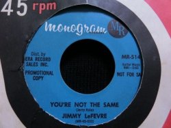 画像2: ”Teen Town USA”収録★JIMMY LeFEVRE-『SWEET LOVIN' BABY』