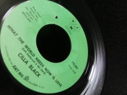 画像2: BURT BACHARACH名曲カバー★CILLA BLACK-『世界は愛を求めている/WHAT THE WORLD NEEDS NOW IS LOVE』 