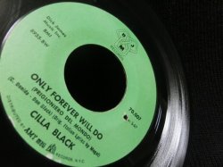 画像3: BURT BACHARACH名曲カバー★CILLA BLACK-『世界は愛を求めている/WHAT THE WORLD NEEDS NOW IS LOVE』 