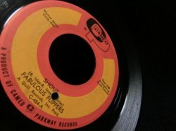 画像3: ISLEY BROTHERS名曲/ガレージカバー★FABULOUS FLIPPERS-『SHOUT』 
