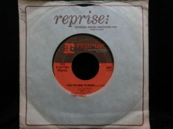 画像1: 60's ガレージ・ディスク・ガイド掲載/STIV BATORS元ネタ★THE ELECTRIC PRUNES-『今夜は眠れない/I HAD TOO MUCH TO DREAM(LAST NIGHT)』 