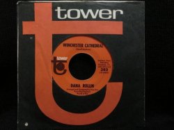 画像1: The New Vaudeville Bandガールポップカバー★DANA ROLLIN-『WINCHESTER CATHEDRAL』 