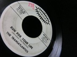 画像2: BEATLES名曲/レアカバー★THE TRANSATLANTICS-『RUN FOR YOUR LIFE』