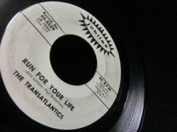 画像3: BEATLES名曲/レアカバー★THE TRANSATLANTICS-『RUN FOR YOUR LIFE』