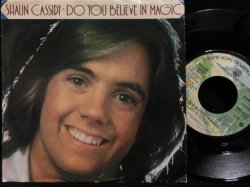 画像1: LOVIN' SPOONFULソフトロックカバー★SHAUN CASSIDY-『DO YOU BELIEVE IN MAGIC』