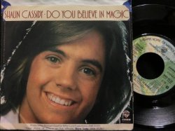 画像2: LOVIN' SPOONFULソフトロックカバー★SHAUN CASSIDY-『DO YOU BELIEVE IN MAGIC』