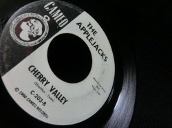 画像3: CHUBBY CHECKER元ネタ★THE APPLEJACKS-『MEXICAN HAT TWIST』