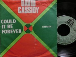 画像1: ASSOCIATIONSカバー/希少ユーゴ原盤★DAVID CASSIDY-『CHERISH』