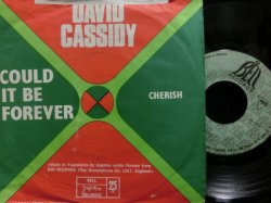 画像2: ASSOCIATIONSカバー/希少ユーゴ原盤★DAVID CASSIDY-『CHERISH』