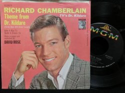 画像2: SKATALITES元ネタ/USジャケ原盤★RICHARD CHAMBERLAIN-『DR. KILDARE』