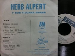 画像2: ハーブ・アルパート/Mexico原盤EP★HERB ALPERT-『WHAT NOW MY LOVE』