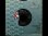 画像1: ジャン＆ディーンUS原盤/The Who元ネタ★JAN & DEAN-『BUCKET "T"』  (1)