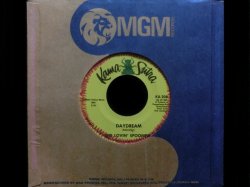 画像1: ラヴィン・スプーンフルUS原盤★THE LOVIN' SPOONFUL-『DAYDREAM』