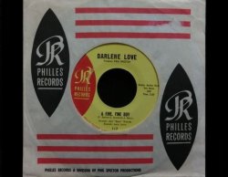 画像1: Phil Spector音壁ガールズポップ★DARLENE LOVE-『A FINE,FINE BOY』