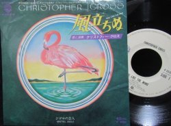 画像1: FREDDIE HUBBARDジャズ元ネタ★CHRISTOPHER CROSS-『風立ちぬ/RIDE LIKE THE WIND』