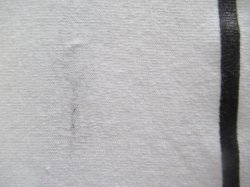 画像3: オアシス/OasisTシャツ★