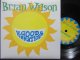 ブライアン・ウィルソンEU原盤★BRIAN WILSON-『GOOD VIBRATIONS』