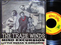 画像1: ANDERS & PONCIA変名/ドイツ原盤★THE TRADEWINDS-『MIND EXCURSION』