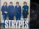 ストライプスUK原盤★The Strypes – 『What A Shame』