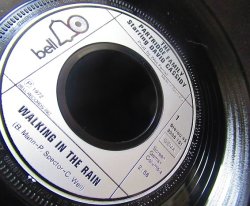 画像3: Ronnetesカバー/Germany原盤★PARTRIDGE FAMILY-『Walking in the Rain』