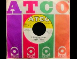 画像1: 60sソフトロック★SONNY & CHER-『A BEAUTIFUL STORY』 