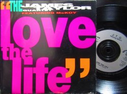 画像1: ジェームス・テイラー・カルテット/UK原盤★James Taylor Quartet-『LOVE THE LIFE』
