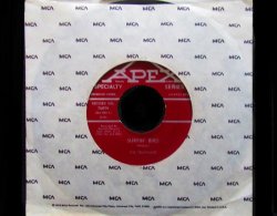 画像1: ロンドンナイト・ディスクガイド掲載/CA原盤★THE CRAMPS元ネタ★THE TRASHMEN-『SURFIN' BIRD』 