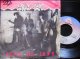 ストレイ・キャッツEU原盤/Supremesカバー★STRAY CATS-『YOU CAN'T HURRY LOVE』