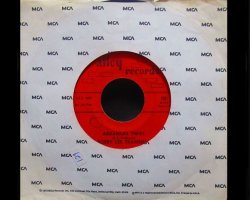 画像1: 5.6.7.8'sガレージパンク元ネタ★BOBBY LEE TRAMMELL-『ARKANSAS TWIST』