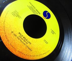 画像3: トーキング・ヘッズ/US原盤★TALKING HEADS-『WILD WILD LIFE』