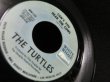 画像3: MONKEES DEMO名曲/NILSSONカバー★THE TURTLES-『THE STORY OF ROCK AND ROLL』 (3)