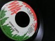 画像2: BOBBY GOLDSBORO元ネタ★SONNY CURTIS-『THE STRAIGHT LIFE』 (2)