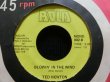 画像1: BOB DYLAN名曲/レアカバー★TED NEWTON-『BLOWIN' IN THE WIND』 (1)