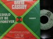 画像2: ASSOCIATIONSカバー/希少ユーゴ原盤★DAVID CASSIDY-『CHERISH』 (2)