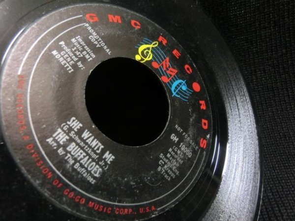 画像3: 60sガレージパンク★THE BUFFALOES-『SHE WANTS ME』 (3)