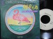 画像1: FREDDIE HUBBARDジャズ元ネタ★CHRISTOPHER CROSS-『風立ちぬ/RIDE LIKE THE WIND』 (1)