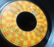 画像3: Billy Idol元ネタ/France原盤★TOMMY JAMES AND THE SHONDELLS-『MONY MONY』 (3)