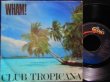 画像1: ワム！/EU原盤★WHAM!-『CLUB TROPICANA』 (1)