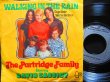 画像1: Ronnetesカバー/Germany原盤★PARTRIDGE FAMILY-『Walking in the Rain』 (1)