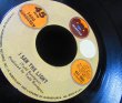 画像2: フリーソウル収録/US原盤★TODD RUNDGREN-『I SAＷ THE LIGHT』 (2)