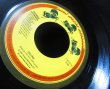 画像4: ジョージ・ハリソン/US原盤★GEORGE HARRISON-『When We Was Fab』 (4)