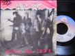 画像1: ストレイ・キャッツEU原盤/Supremesカバー★STRAY CATS-『YOU CAN'T HURRY LOVE』 (1)