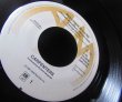 画像3: Marvelettes名曲カバー/カーペンターズ/EU原盤★CARPENTERS-『BEACHWOOD 4-5789』 (3)