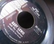 画像3: 米国ケロッグ/コーンフレーク/懸賞レコード/US原盤★GARY LEWIS (3)