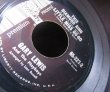 画像4: 米国ケロッグ/コーンフレーク/懸賞レコード/US原盤★GARY LEWIS (4)